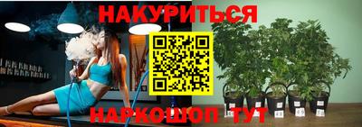 шишки Гусь-Хрустальный