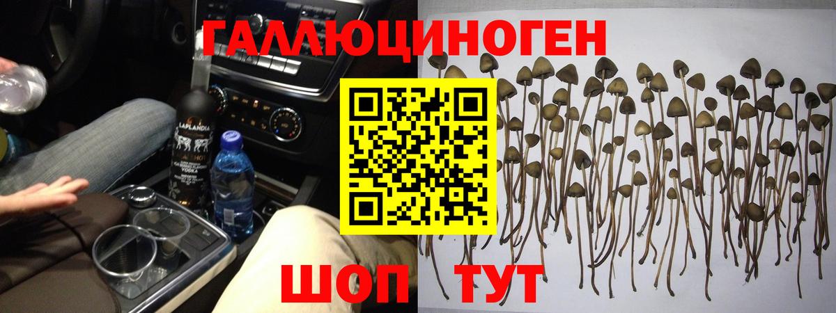 Галлюциногенные грибы ЛСД  Вход с VPN  Галлюциногенные грибы мицелий  Нефтекумск 