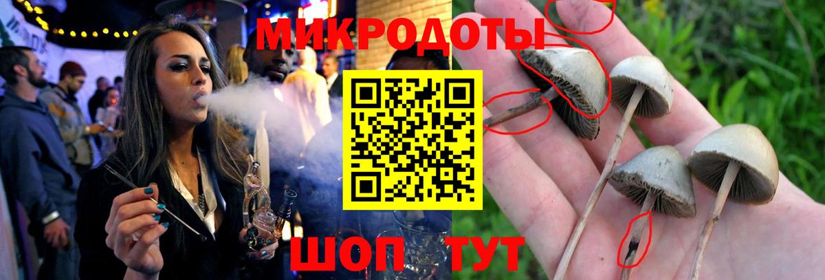 Псилоцибиновые грибы MAGIC MUSHROOMS Нефтекумск