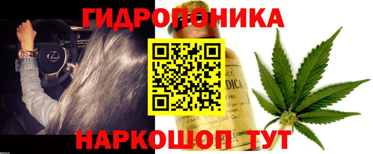 Конопля гибрид Нефтекумск